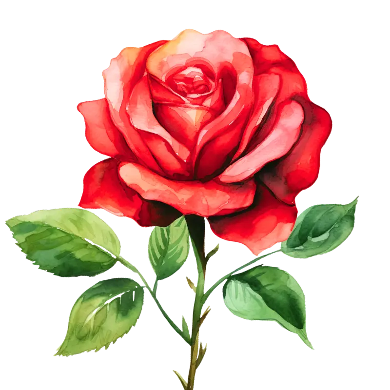 Rosa roja